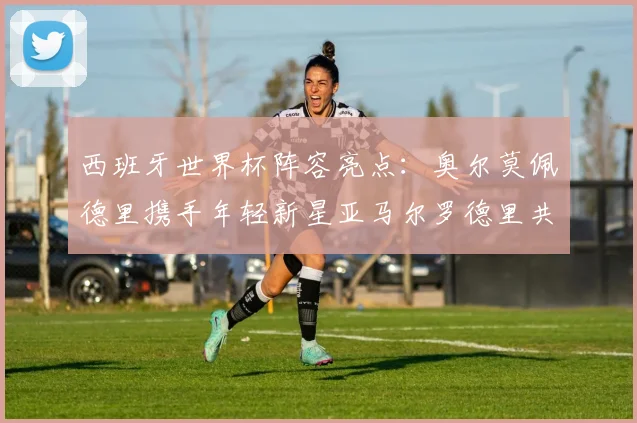 西班牙世界杯阵容亮点：奥尔莫佩德里携手年轻新星亚马尔罗德里共赴荣耀之战