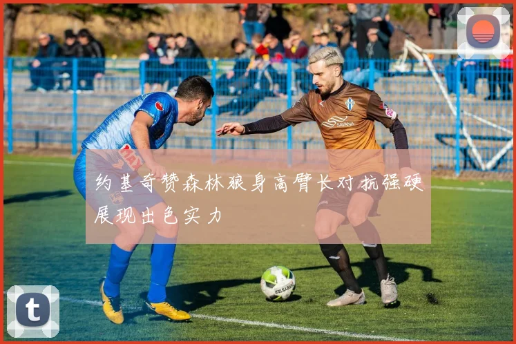 约基奇赞森林狼身高臂长对抗强硬展现出色实力